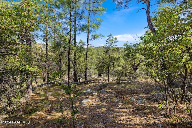 0000 E Blue Jay Rd, Prescott AZ, 86303 land for sale