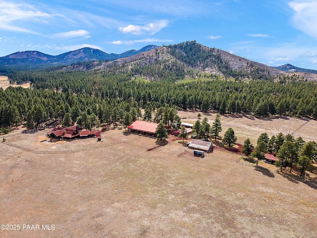 8222 N Spring Valley Rd, Parks, AZ 86018 - birds eye view of property with a wooded view and a mountain view