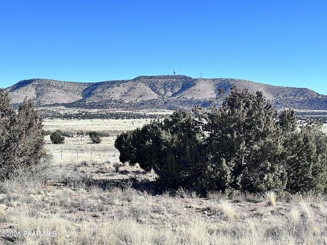 54610 N Bridge Canyon Pkwy, Seligman AZ, 86337 land for sale