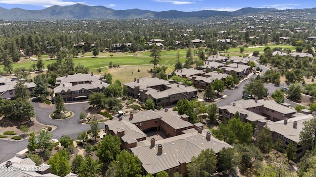 birds eye view of property featuring a mountain view