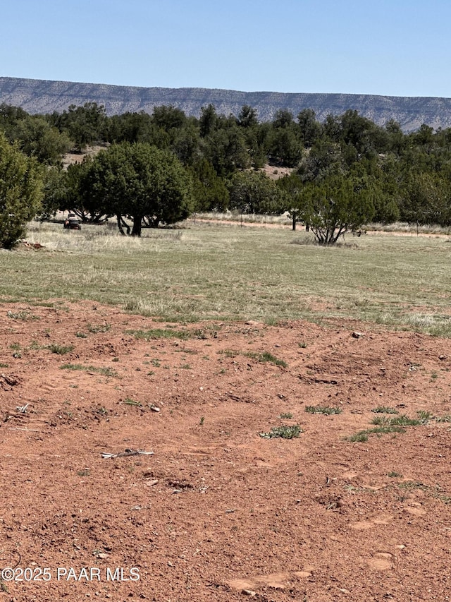 56755 Mesa Pkwy, Seligman, AZ 86337 - photo 11