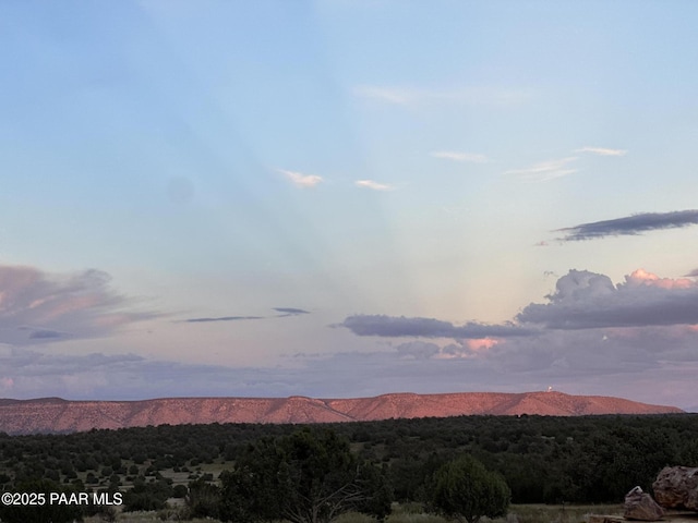 56755 Mesa Pkwy, Seligman, AZ 86337 - photo 2