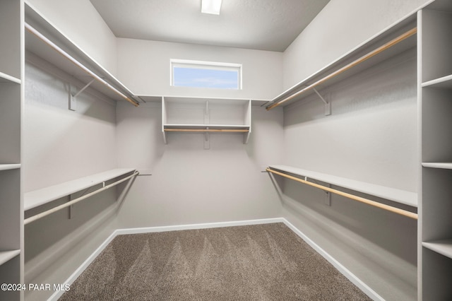 walk in closet with carpet