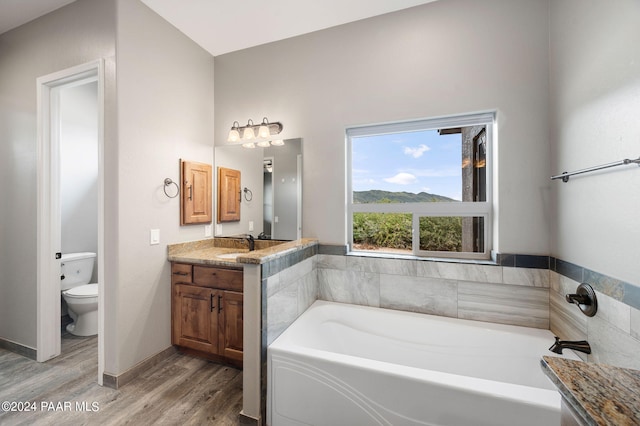 bathroom featuring vanity, toilet, wood-type flooring, and a bath