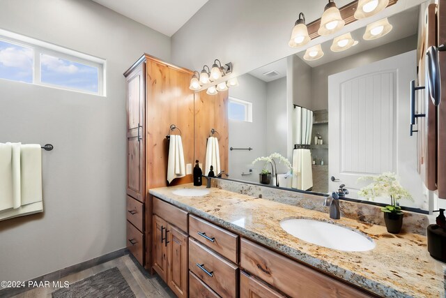 bathroom with hardwood / wood-style floors, vanity, and a wealth of natural light