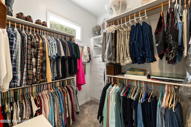 walk in closet with carpet