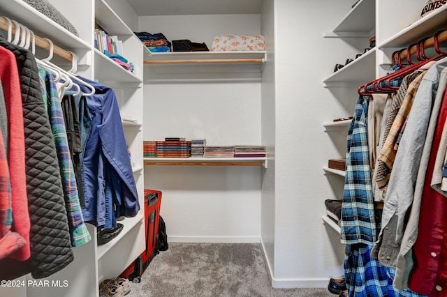 spacious closet with carpet