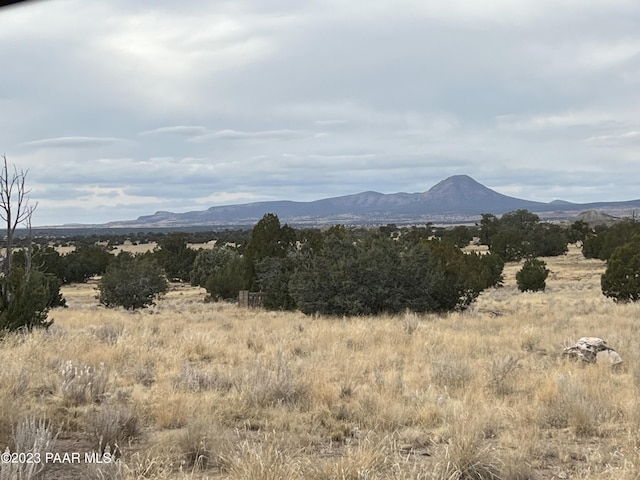 53 Picacho Butte, Ash Fork, AZ 86320 - photo 5