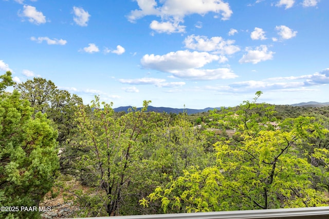 597 Windspirit Cir, Prescott, AZ 86303 - photo 34
