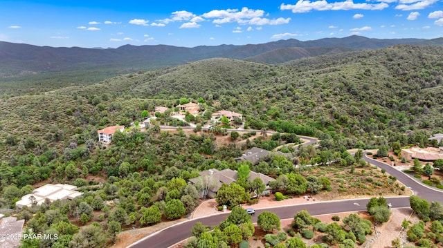 597 Windspirit Cir, Prescott, AZ 86303 - photo 47