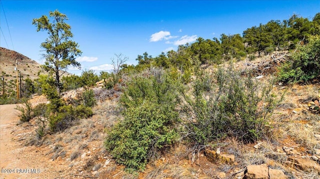 4695 W Hidden Canyon Rd, Chino Valley, AZ 86323 - photo 15