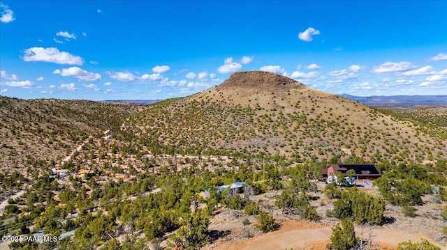 4695 W Hidden Canyon Rd, Chino Valley, AZ 86323 - photo 9