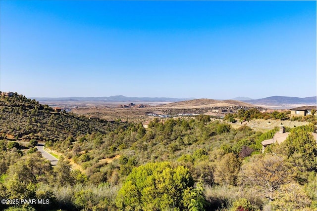 549 Sandpiper Dr, Prescott, AZ 86303 - photo 60