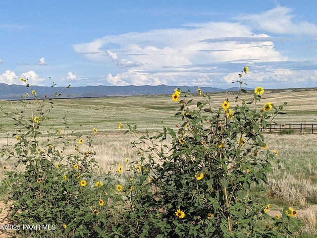 view of yard featuring a rural view and a mountain view