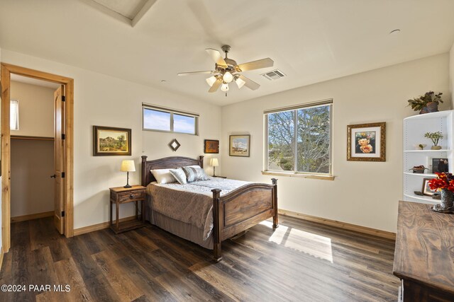 bedroom featuring dark wood-type flooring, ceiling fan, a spacious closet, and multiple windows