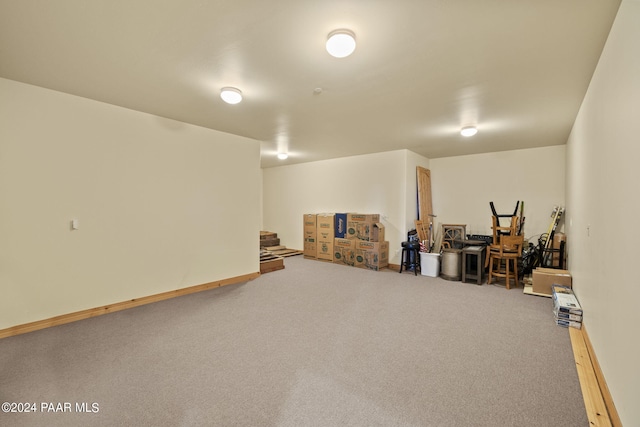 basement featuring carpet flooring