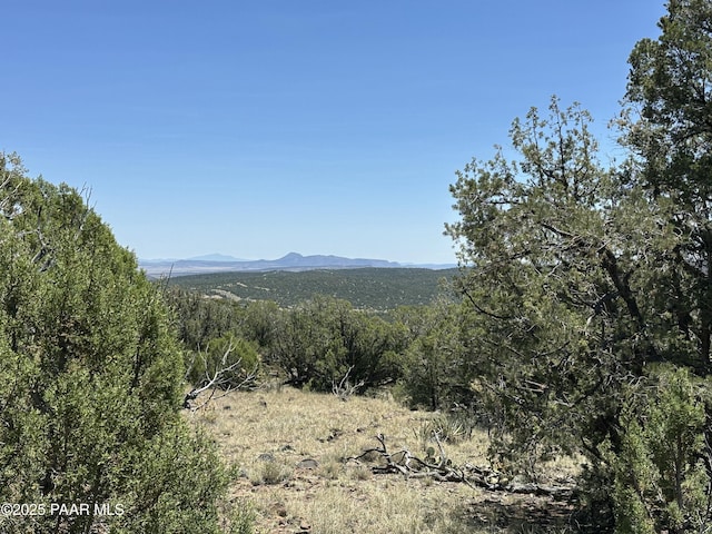 1148 Floyd Rnch, Seligman, AZ 86337 - photo 11