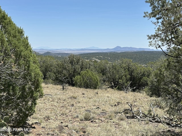 1148 Floyd Rnch, Seligman, AZ 86337 - photo 13