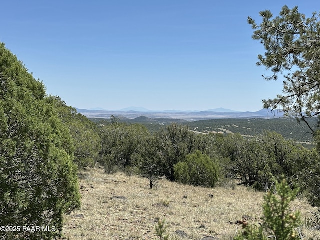 1148 Floyd Rnch, Seligman, AZ 86337 - photo 14