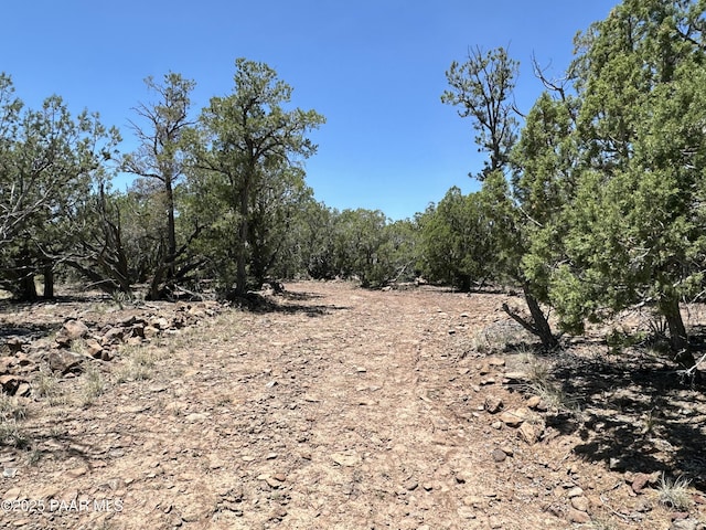 1148 Floyd Rnch, Seligman, AZ 86337 - photo 5
