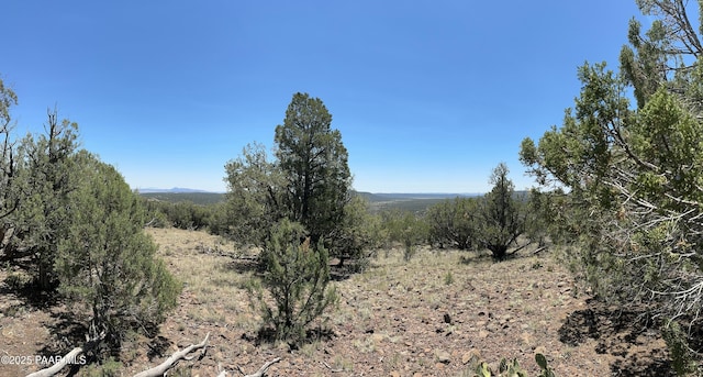 1148 Floyd Rnch, Seligman, AZ 86337 - photo 12