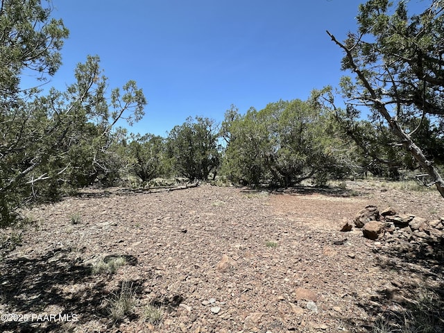 1148 Floyd Rnch, Seligman, AZ 86337 - photo 9