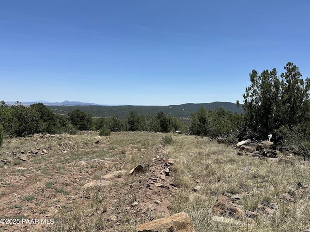 1148 Floyd Rnch, Seligman, AZ 86337 - photo 8