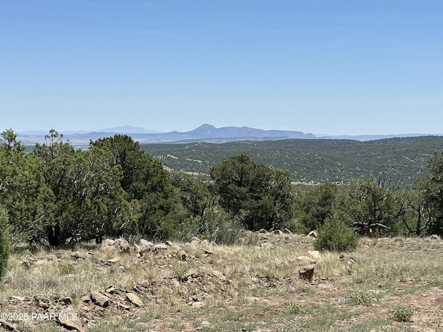 1148 Floyd Rnch, Seligman, AZ 86337 - photo 7