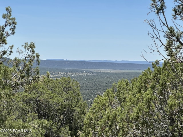 1148 Floyd Rnch, Seligman, AZ 86337 - photo 10