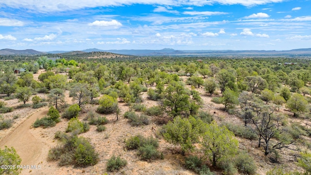 13225 N Bull Run Rd, Prescott, AZ 86305 - view of mountain backdrop