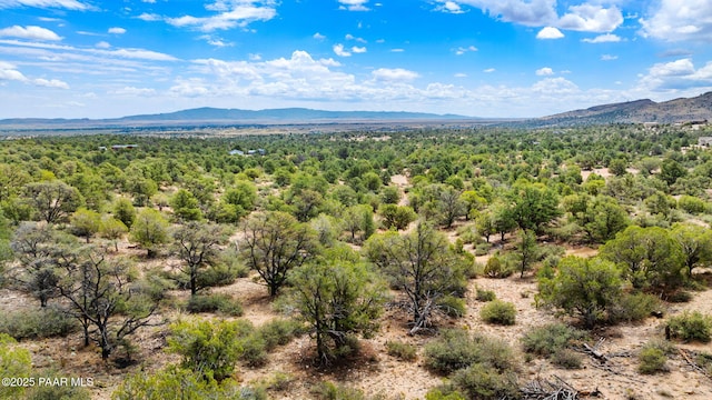 13225 N Bull Run Rd, Prescott, AZ 86305 - view of mountain background featuring a heavily wooded area