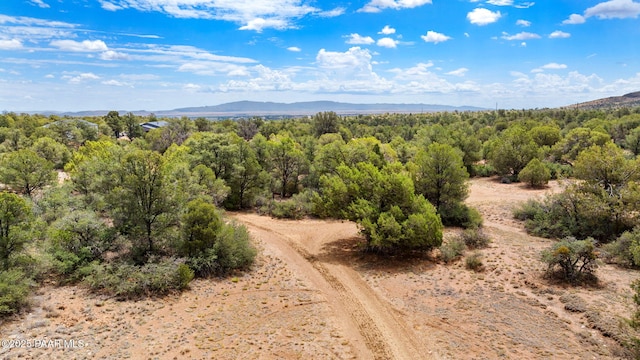 13225 N Bull Run Rd, Prescott, AZ 86305 - view of mountain background featuring a forest