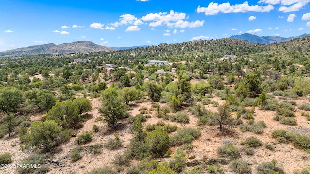 13225 N Bull Run Rd, Prescott, AZ 86305 - view of mountain backdrop