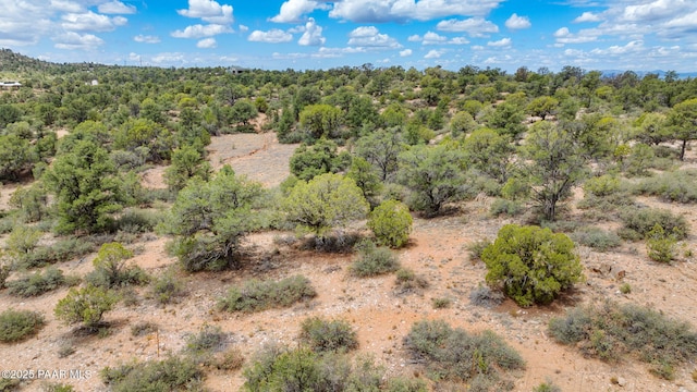 13225 N Bull Run Rd, Prescott, AZ 86305 - view of woods