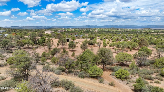 13225 N Bull Run Rd, Prescott, AZ 86305 - mountain view