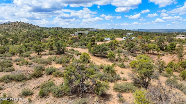 13225 N Bull Run Rd, Prescott, AZ 86305 - mountain view