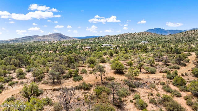 13225 N Bull Run Rd, Prescott, AZ 86305 - view of mountain background