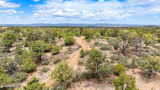 13225 N Bull Run Rd, Prescott, AZ 86305 - view of mountain backdrop with a heavily wooded area