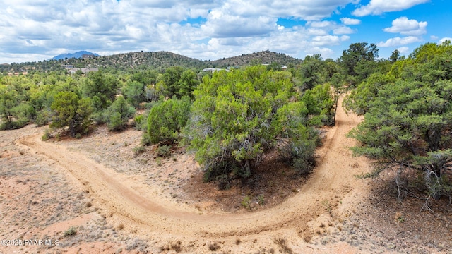 13225 N Bull Run Rd, Prescott, AZ 86305 - mountain view