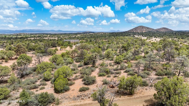 13225 N Bull Run Rd, Prescott, AZ 86305 - view of mountain background with a desert landscape