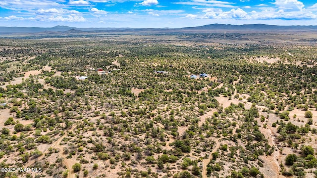 13225 N Bull Run Rd, Prescott, AZ 86305 - bird's eye view of mountains