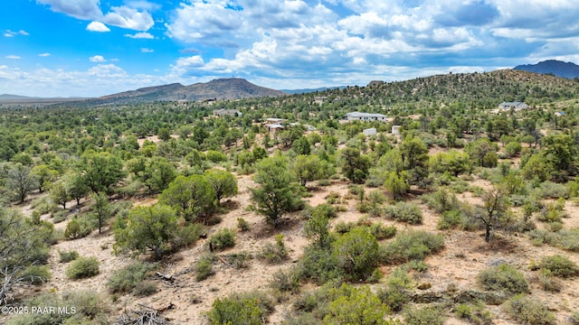 13225 N Bull Run Rd, Prescott, AZ 86305 - view of mountain background