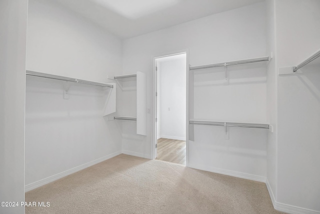 spacious closet with light colored carpet