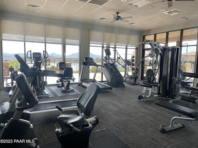 exercise room featuring carpet flooring, a mountain view, a drop ceiling, and ceiling fan