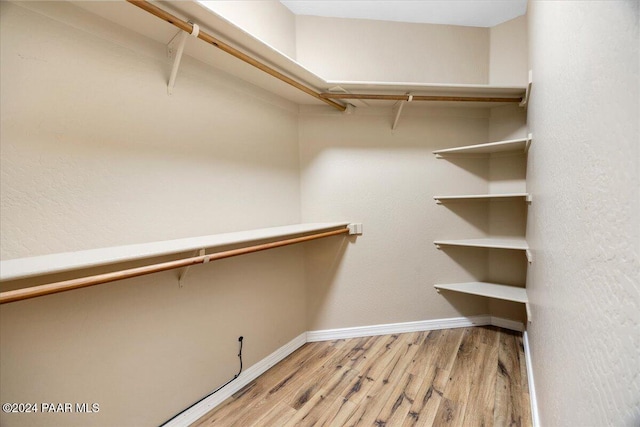 walk in closet with wood-type flooring