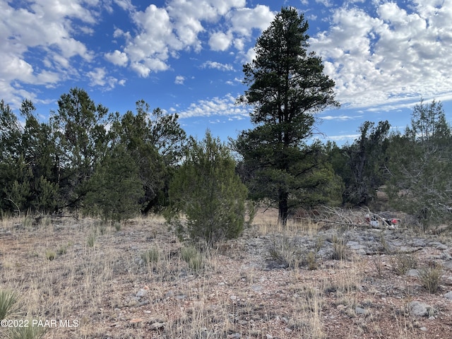 54663 N Forest Grove Way, Seligman AZ, 86337 land for sale