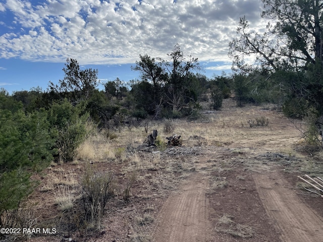 54663 N Forest Grove Way, Seligman, AZ 86337 - photo 6
