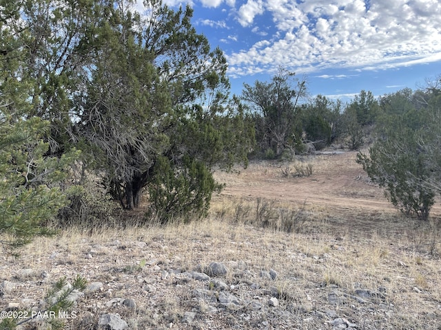 54663 N Forest Grove Way, Seligman, AZ 86337 - photo 3