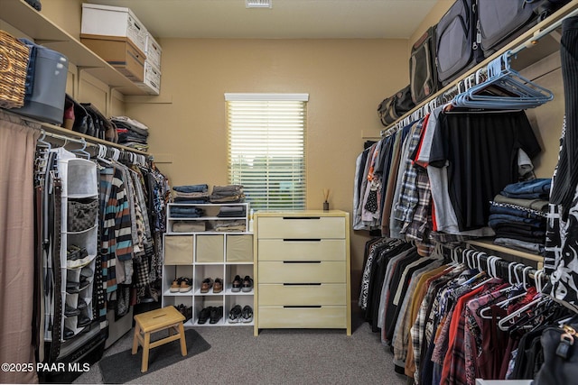 5245 Wellness Way, Prescott, AZ 86301 - spacious closet with carpet