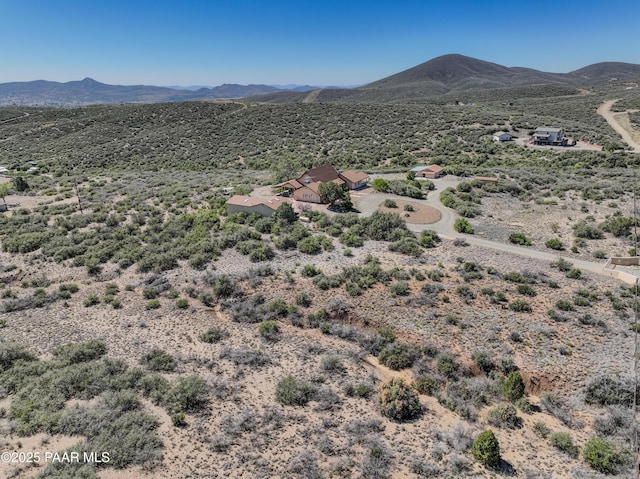 10412 E Prescott Dells Ranch Rd, Dewey-Humboldt, AZ 86327 - view of mountain backdrop with a desert landscape